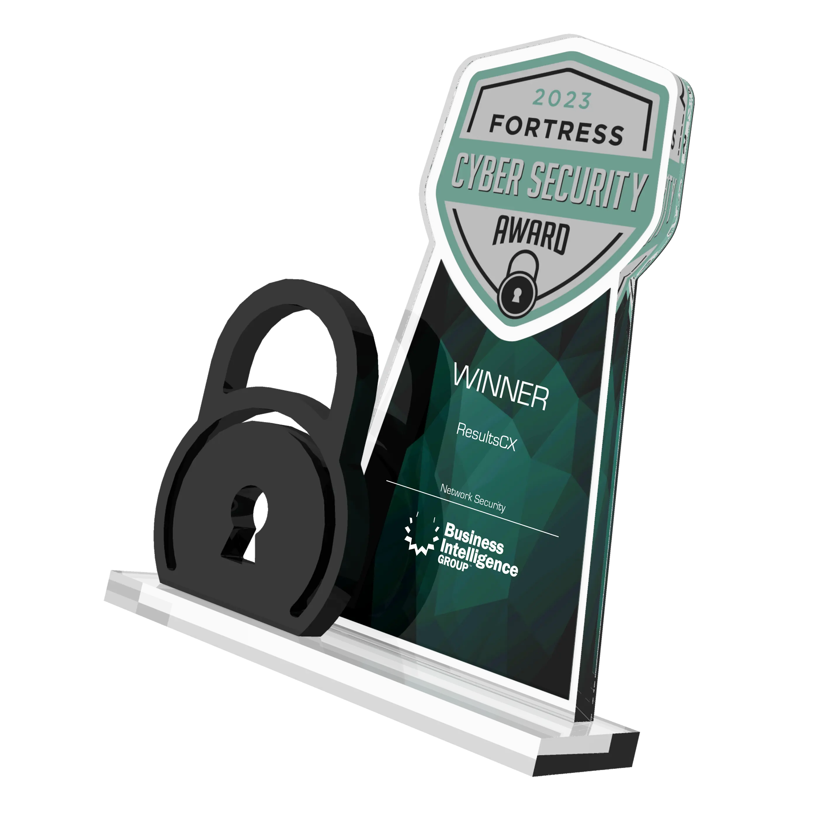 cyber security team project