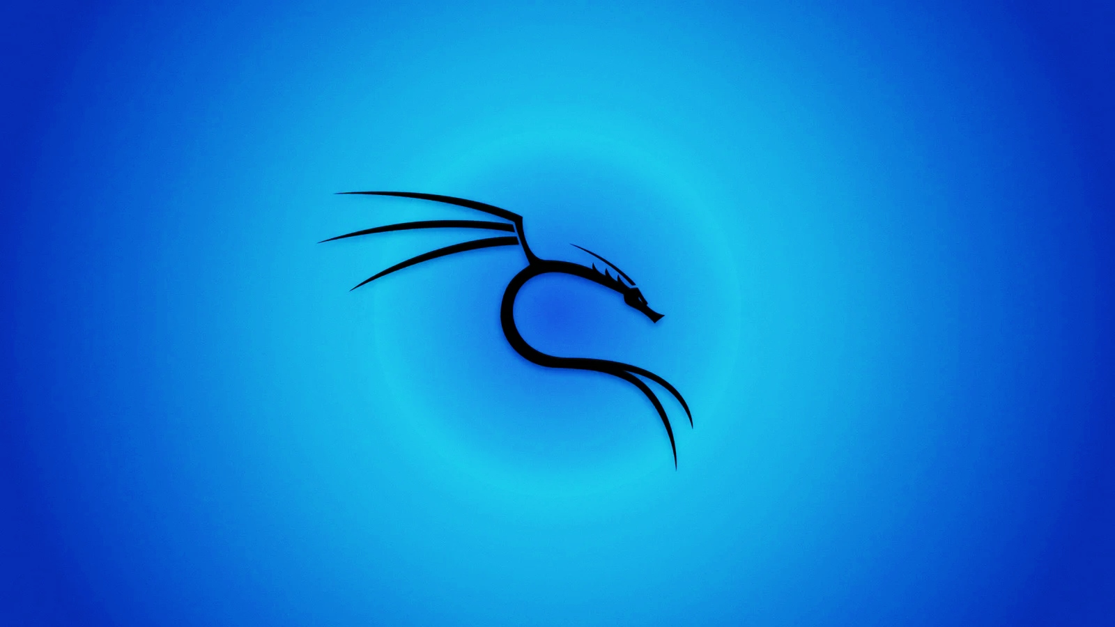 Kali Linux tools