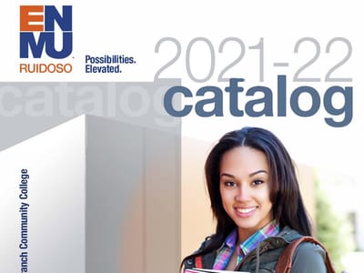 Delving into a Cyber Security Apprenticeship: What to Expect